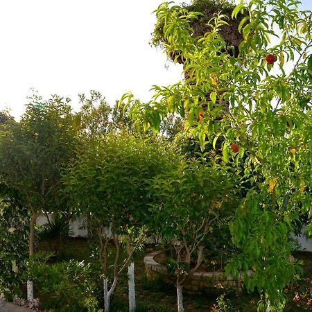 Ferienwohnung Kostas' Garden Roda  Exterior foto
