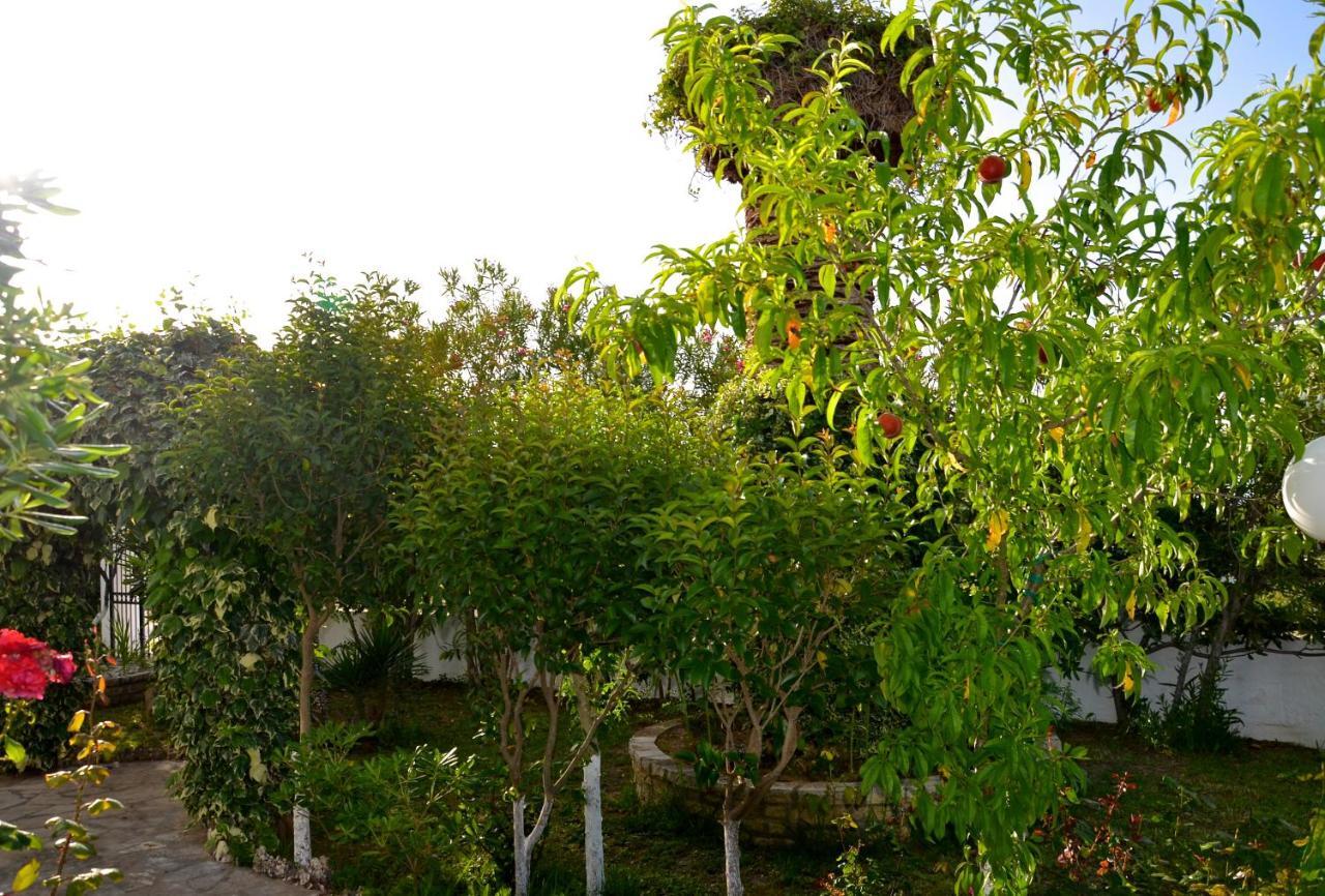 Ferienwohnung Kostas' Garden Roda  Exterior foto